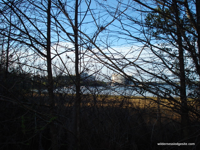 View of Contemporary from Nature Trail